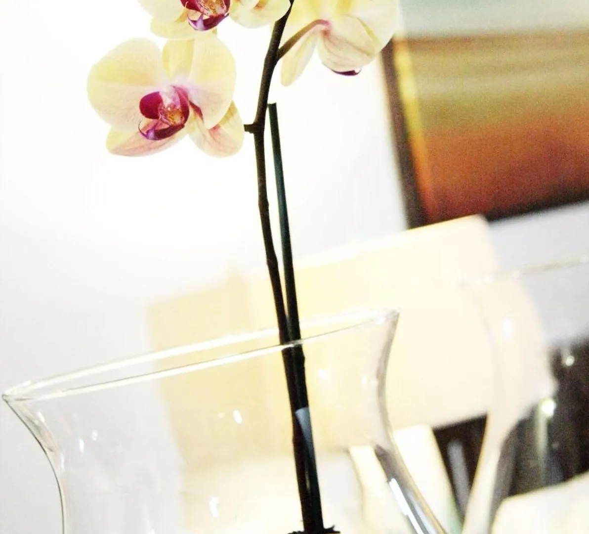 Aparthotel Fortaleza Suites Old San Juan